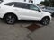 2024 Kia Sorento Hybrid EX