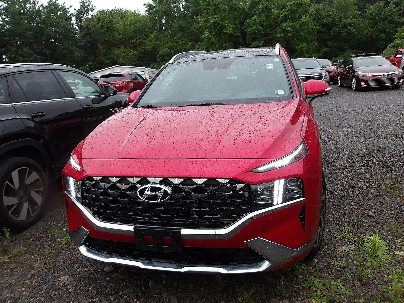 2023 Hyundai Santa Fe Calligraphy