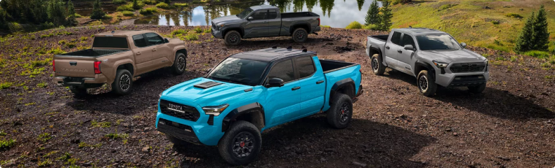 Four Toyota Tacoma trucks in different colors parked together on a muddy hillside