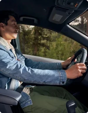 A driver at the wheel with a forested road passing outside the window