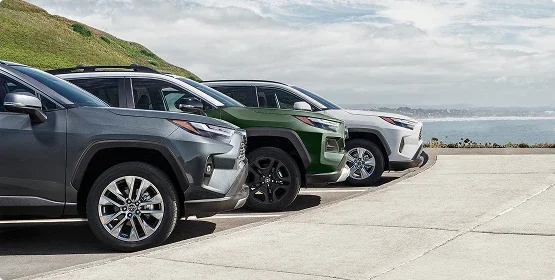 Three Toyota RAV4s from different model years parked side by side overlooking the coast