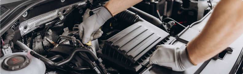 Service and Maintenance