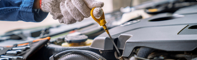 Service and Maintenance for i-FORCE MAX