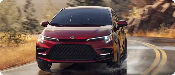 Dynamic Force Performance